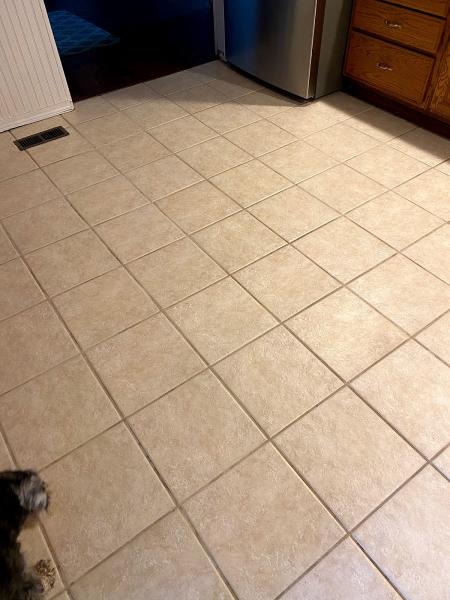 Dave's Quality Carpet & Upholstery Cleaning