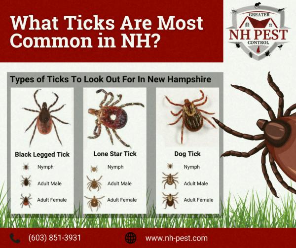 Greater NH Pest Control