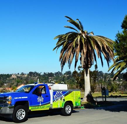 Aguilar Plant Care
