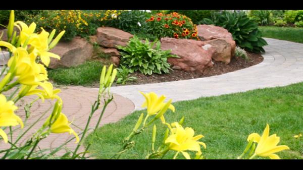 Phoenix Pest Control LLC