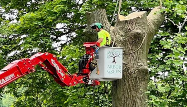 Arbor Green Tree Service