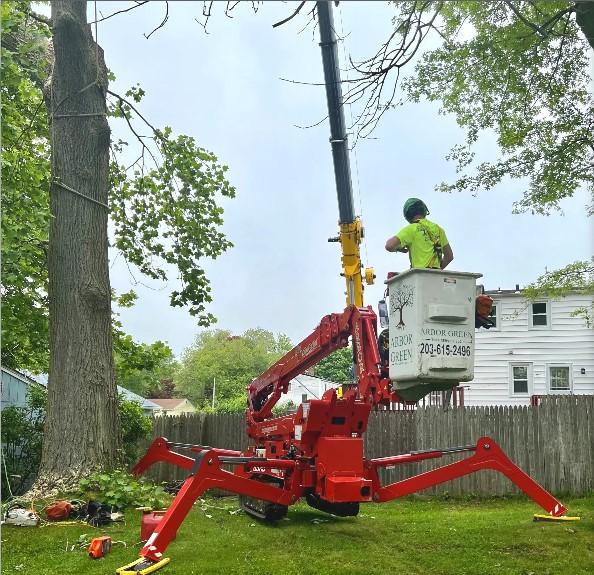 Arbor Green Tree Service