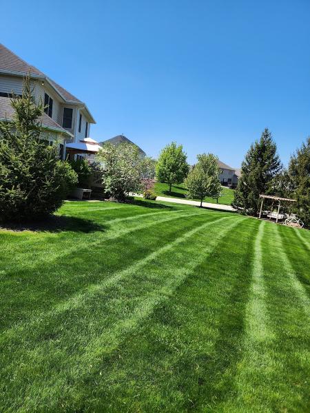 Cortez Lawn Care
