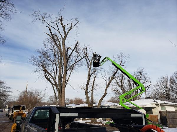 P&L Tree Service