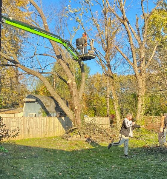 P&L Tree Service