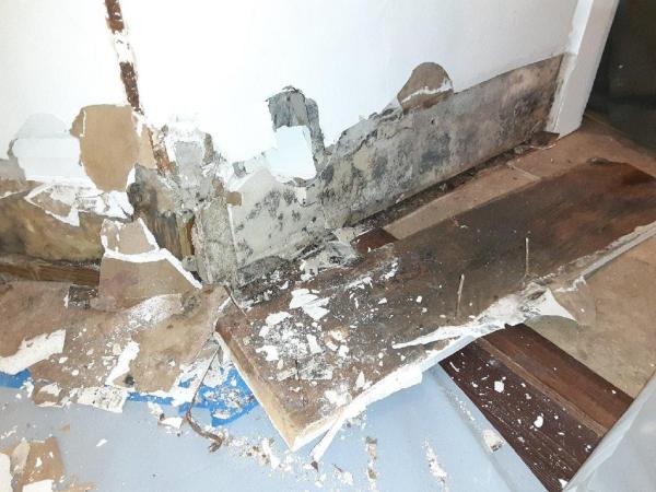 Rapid Response Restoration