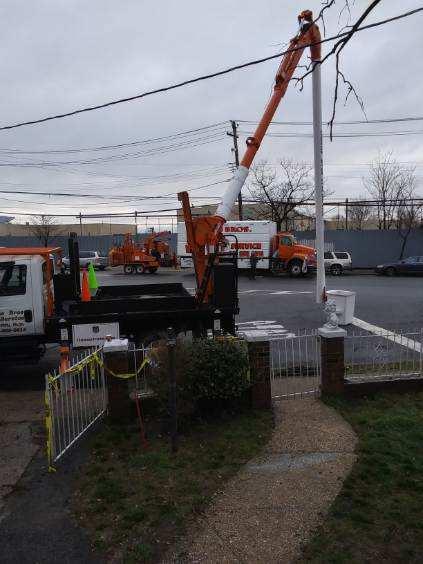 Owens Brothers Tree Service