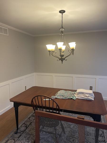 Wallpro Painting