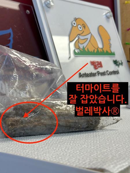벌레박사 Anteater Pest Control