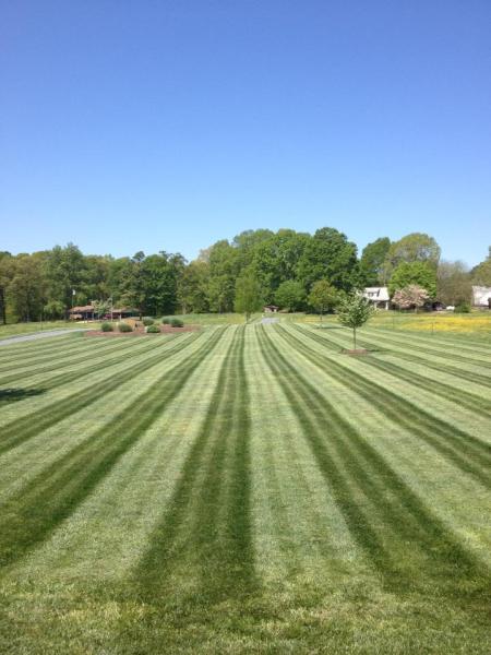 Lakeview Farms Landscaping & Maintenance
