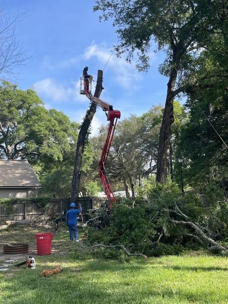 Odoms Beaches Tree Service