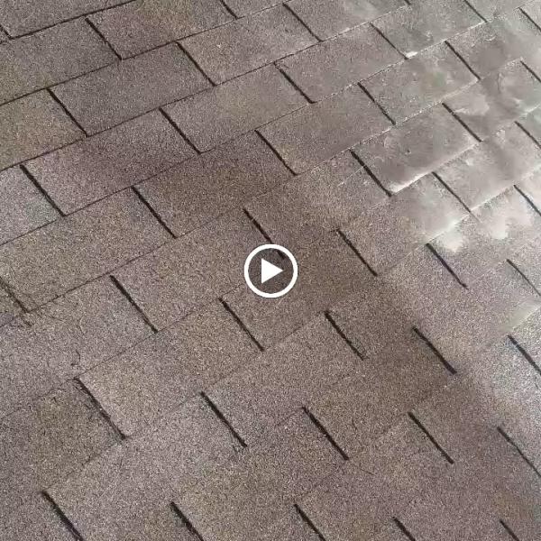 Oleyn's Pressure Washing