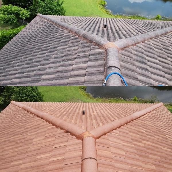 Oleyn's Pressure Washing
