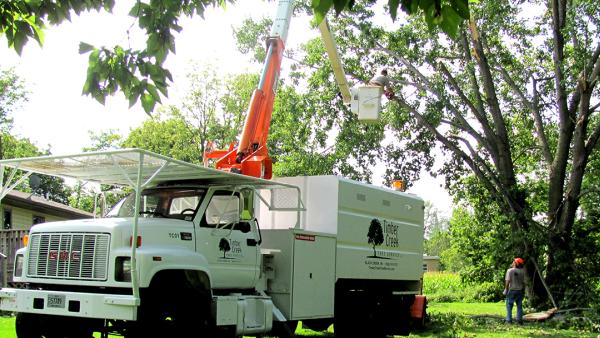 Timber Creek Tree Service LLC