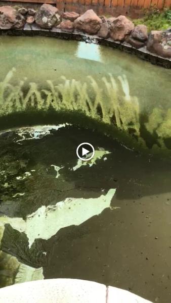 Delta Pool Care