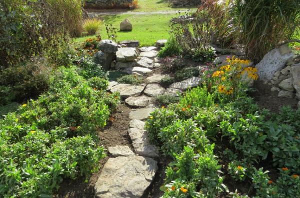 Sipe Landscape & Design