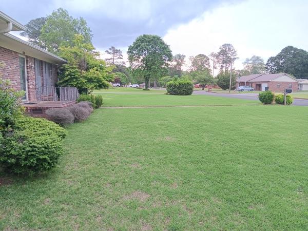 Tucker Lawn and Landscaping