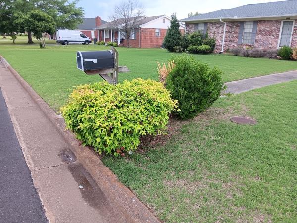Tucker Lawn and Landscaping