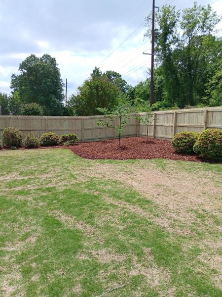 Tucker Lawn and Landscaping