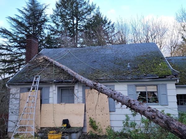 Honl Tree Care Inc