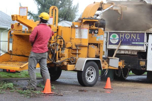 Honl Tree Care Inc