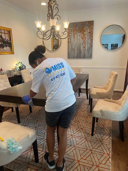 Miss Spotless Cleaning