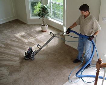 Nova Rugs Carpet Cleaning