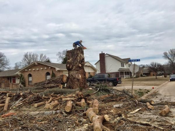 Tree Care