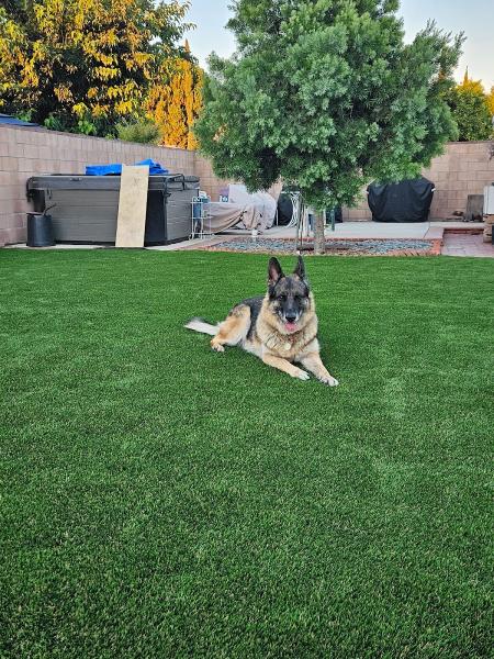 Artificial Turf Exchange