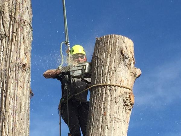 Climbers Choice Tree Care