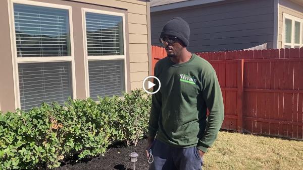 Texas Terrain Lawn Care