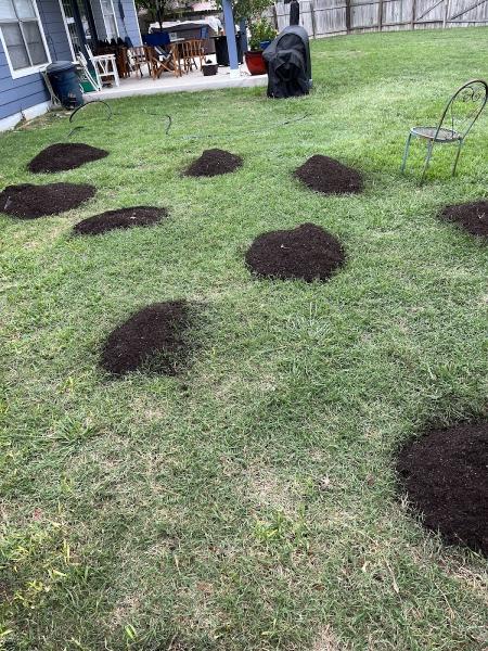 Texas Terrain Lawn Care