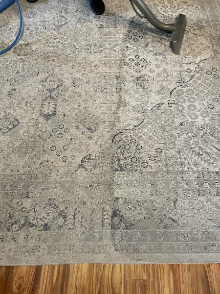 Big Blue Carpet Cleaning