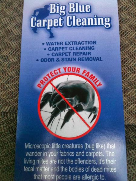 Big Blue Carpet Cleaning
