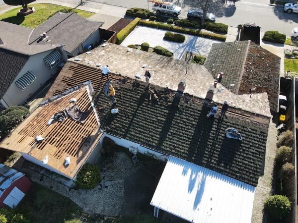 ELM Roofing Contractors