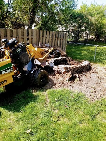 Gold Leaf Tree Services Inc.