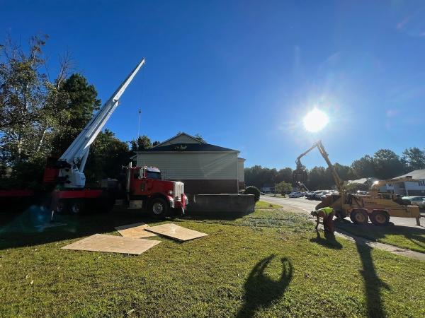 Lopez Tree Services