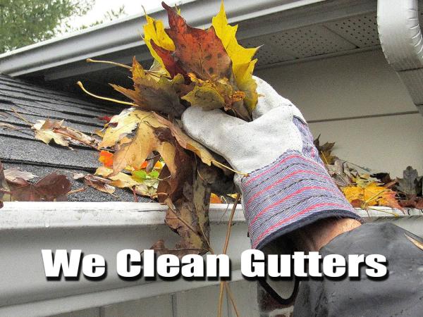 Exterior House Wash