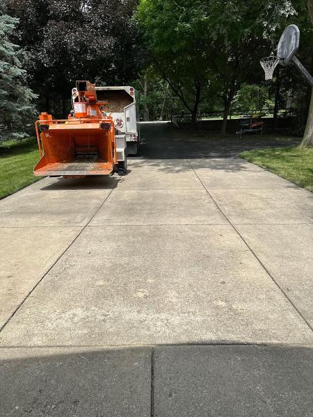 Timber Beast Tree Service