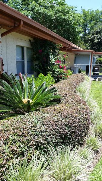 Ballina Landscape Maintenance