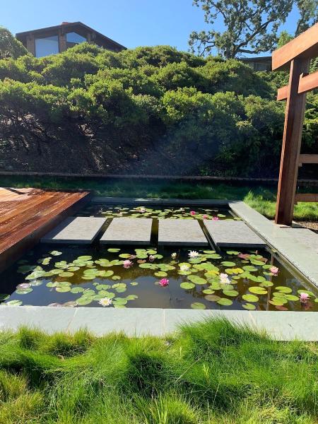 Bay Area Koi Ponds