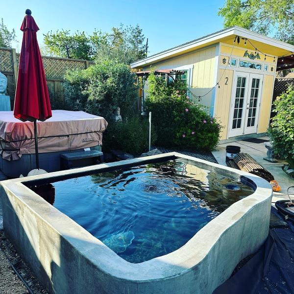 Bay Area Koi Ponds
