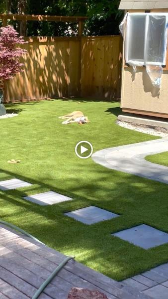 Synthetic Turf Northwest