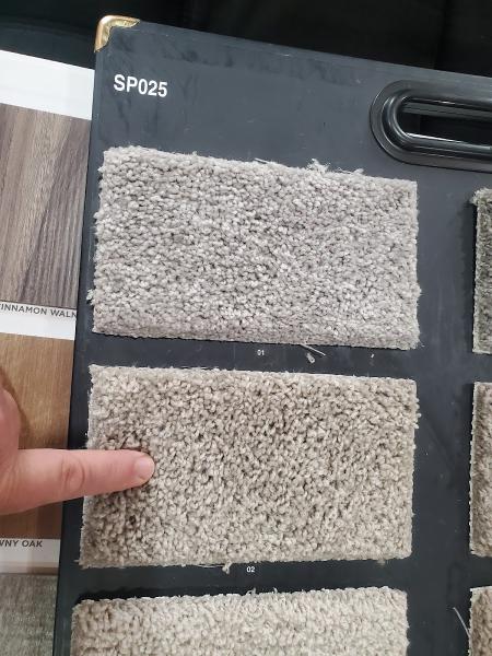Mike the Carpet Guy