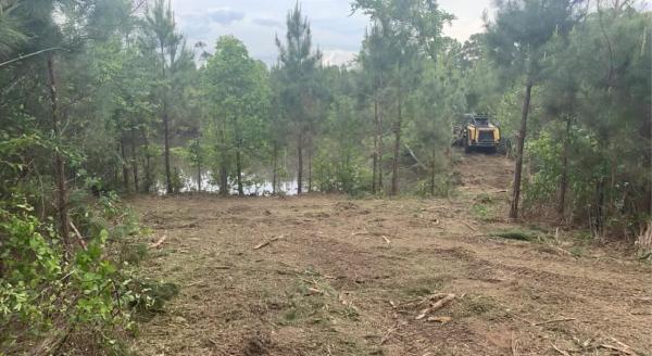 Mallard's View Land Management