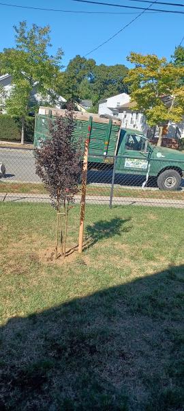 Stephen Landscaping