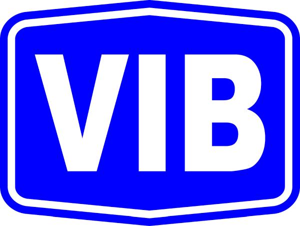 VIB Electric