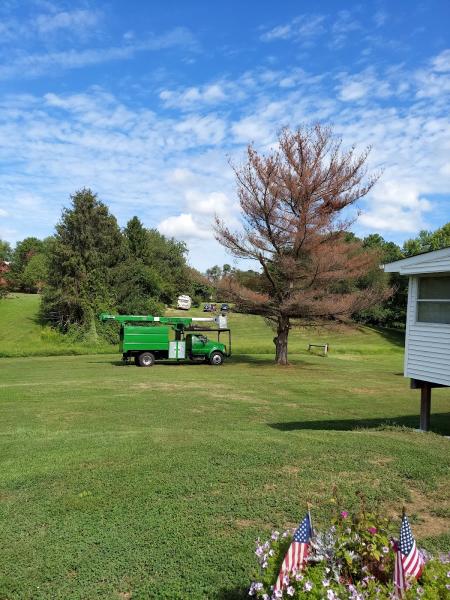 C & R Tree Service