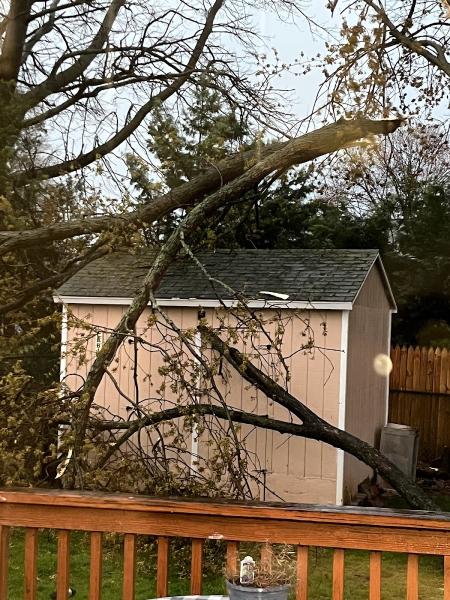 C & R Tree Service