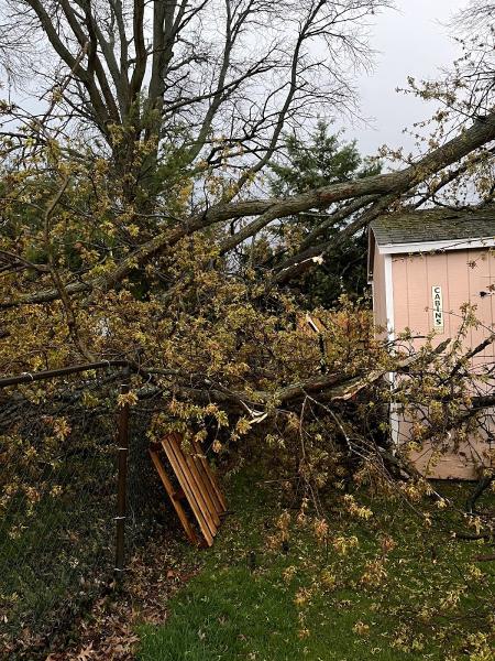 C & R Tree Service